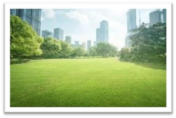 Landscaped gardens and green spaces