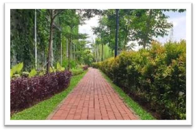 Jogging and strolling tracks